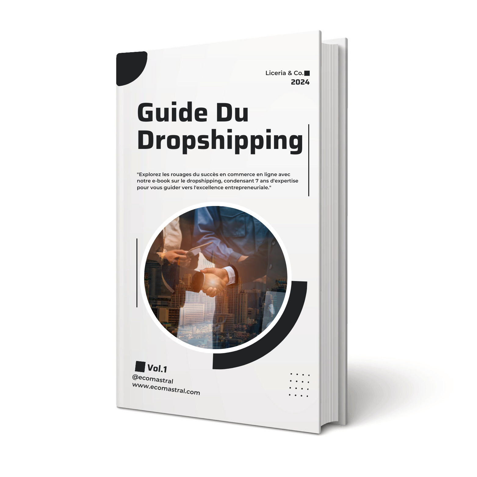 Le Guide du Dropshipping